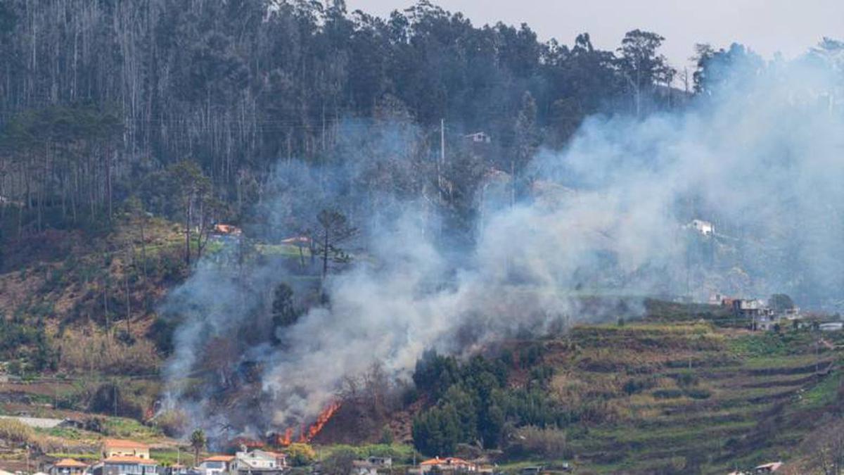 Pol Cia Florestal Identificou Autor De Queimada Ilegal Que Deu Origem A