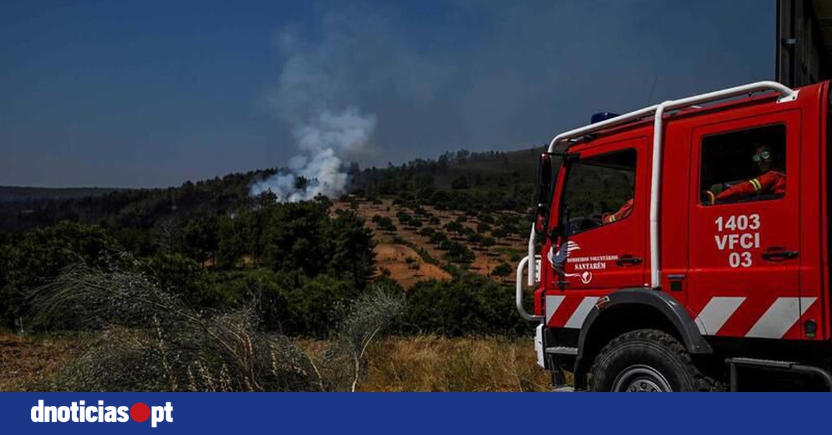 Menos De Fogos Rurais E Menos De Rea Ardida Em