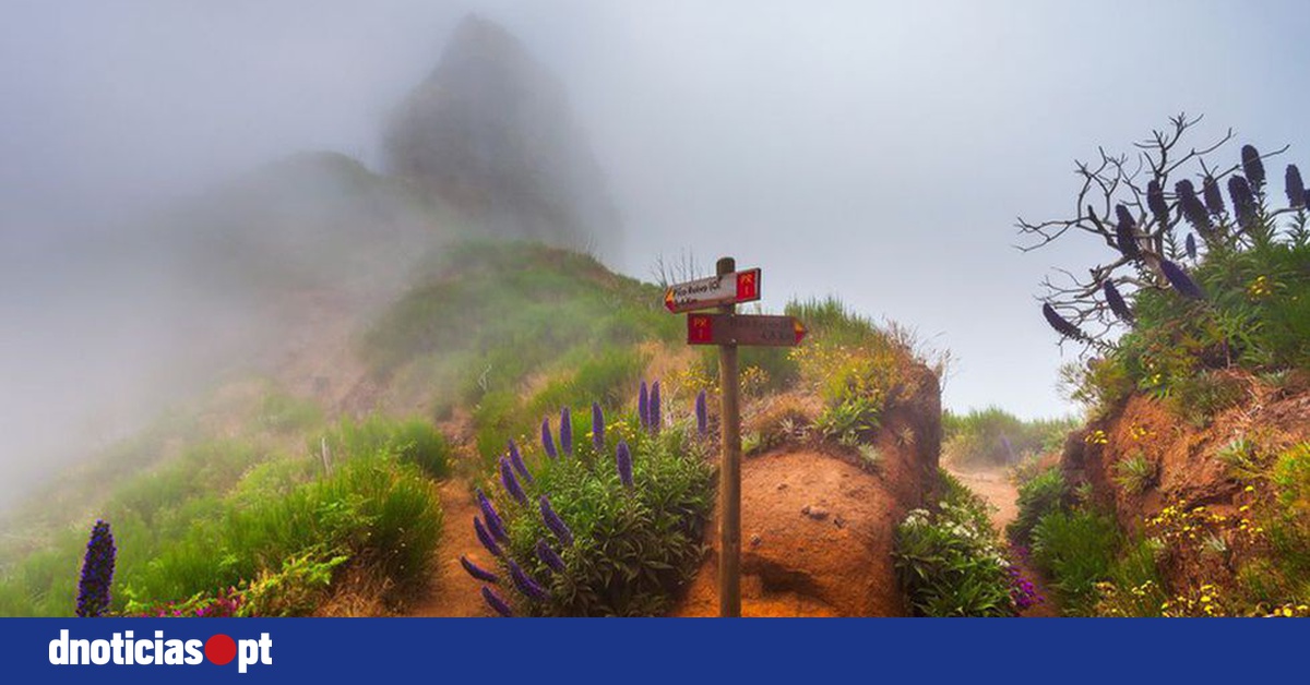 Sexta feira céu muito nublado e possibilidade de aguaceiros fracos