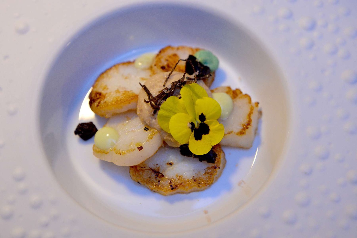 Vieira, com muxama de atum da costa, trufa, wasabi, praliné e pêro fermentado.