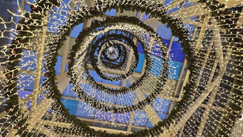 Fotos DR/Plaza Madeira