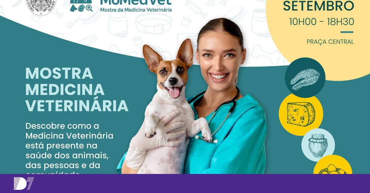 DNOTICIAS.PT