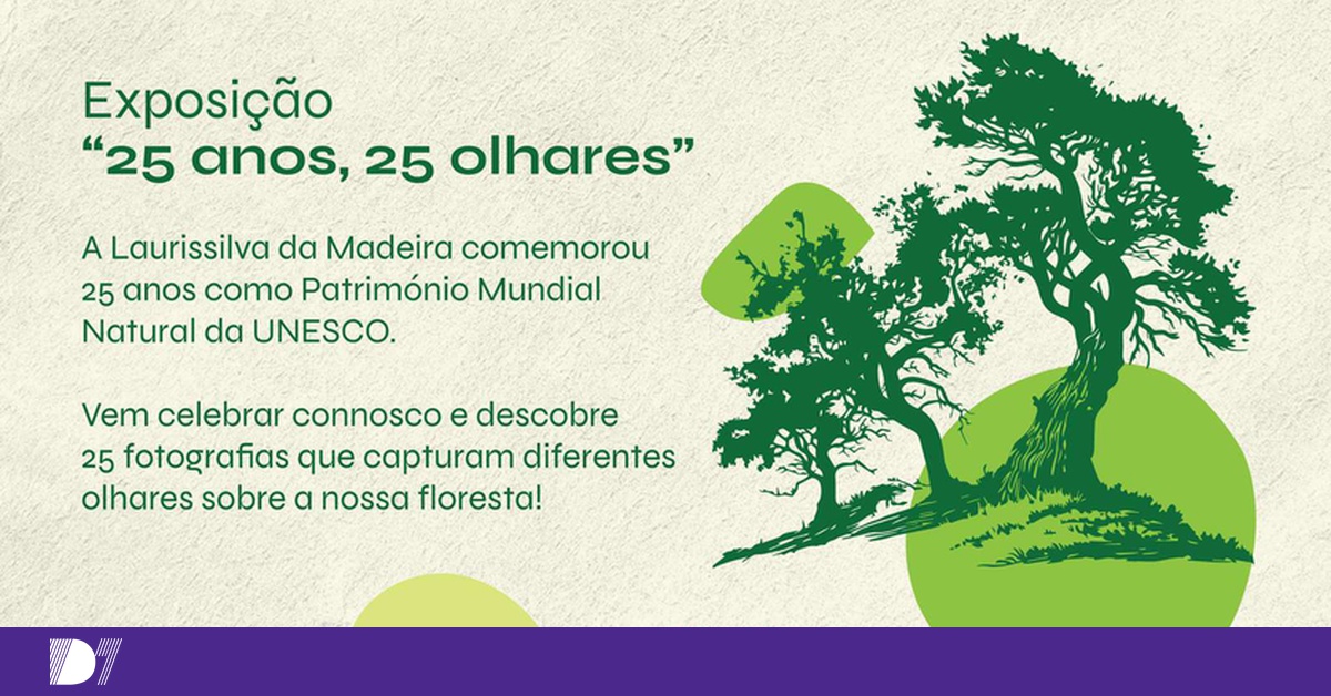 DNOTICIAS.PT