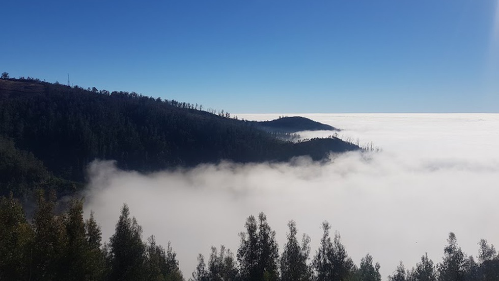Polícia Florestal identifica indivíduo a fazer um churrasco em área florestal - Vimarsana News