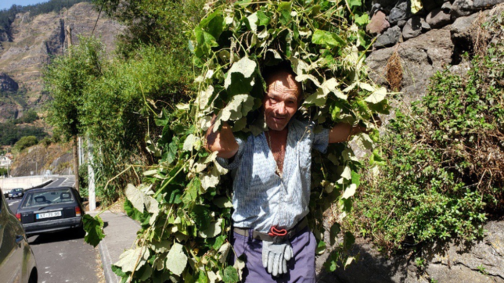 Na Serra de Água há "poucochinhas crianças" e muitas veredas abandonadas — DNOTICIAS.PT - Vimarsana News