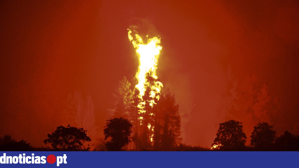 Calor extremo e incêndios assolam países do Sul da Europa e Mediterrâneo - Vimarsana News
