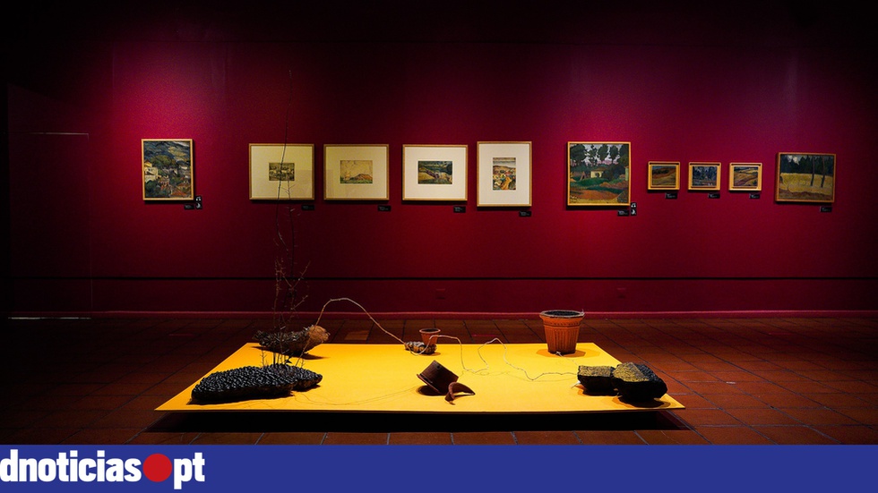 Exposição 'Espinhos e Acúleos' já teve mais de uma centena de visitantes — DNOTICIAS.PT - Vimarsana News