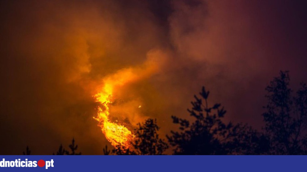 Seis distritos do país com risco máximo de incêndio este sábado, 7 de Agosto - Vimarsana News