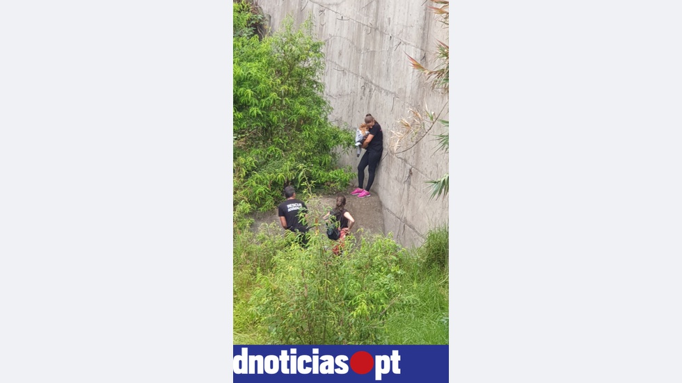 Cadela resgatada de ribeira - Vimarsana News