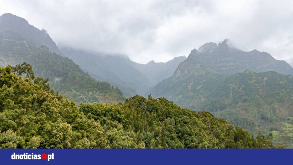 Chuva Fraca e Vento Forte Marcam o Tempo nas Terras Altas da Madeira