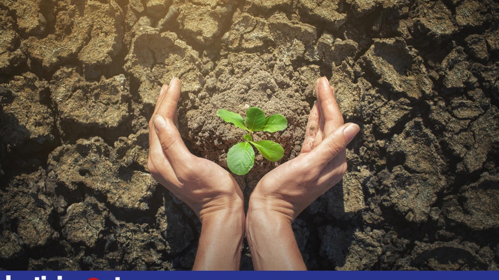 Aquecimento global muda vida e hábitos de plantas e animais - Vimarsana News
