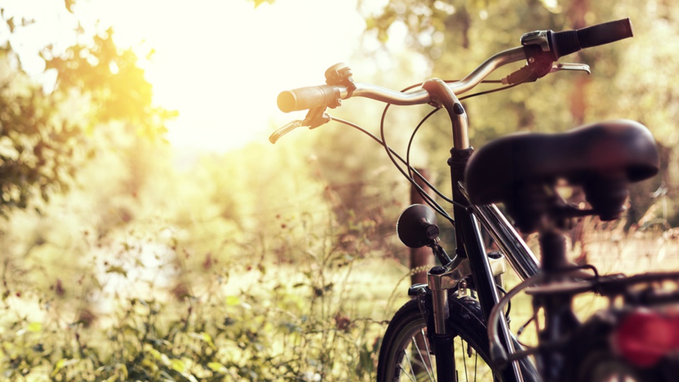 Ciclista em estado grave depois de cair em falésia em Almada - Vimarsana News