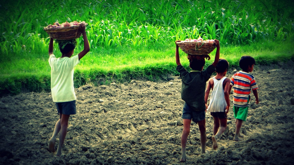 Trabalho infantil no mundo aumenta pela primeira vez nas últimas duas décadas - Vimarsana News