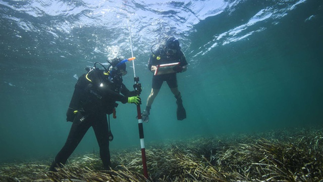 I ricercatori di Madeira partecipano a una campagna di archeologia subacquea in Grecia