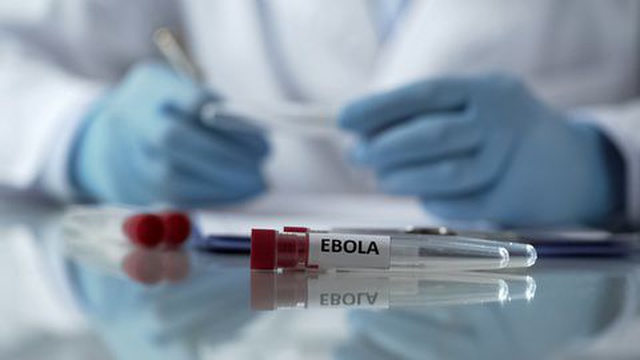 Гутерриш призывает выделить 940 млн евро и бороться с «вирусом безразличия»