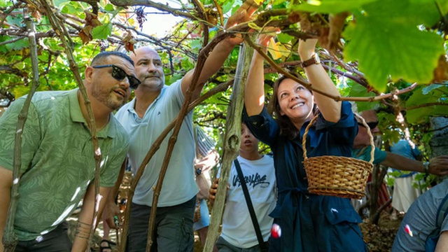 Célia Pessegueiro alerts to vineyard abandonment