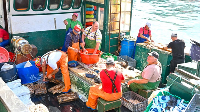 Comissário europeu conhece de perto realidade das pescas na Madeira