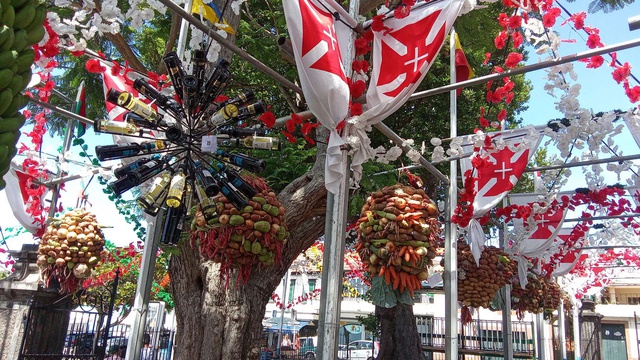 Festa do Espírito Santo no Arco da Calheta com charolas