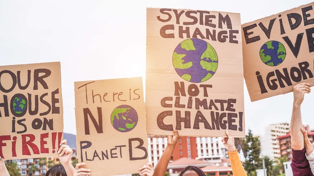 Organizações da sociedade civil pedem à União Europeia legislação ambiental urgente