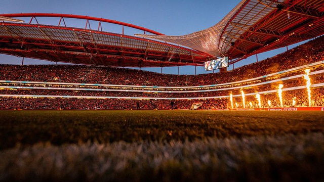 Benfica SAD with profit of 19.1 million euros