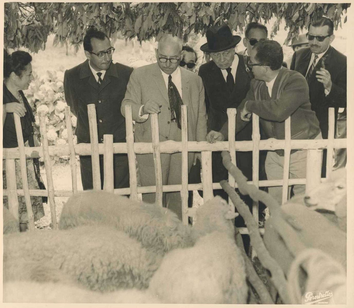 Da esquerda para a direita: esposa do ministro da Economia, Eng.º José do Nascimento Ferreira Dias, presidente da Junta-Geral, coronel Fernando Homem da Costa, ministro da Economia, Eng.º José do Nascimento Ferreira Dias, governador civil, comandante João Inocêncio Camacho de Freitas, médico veterinário da Intendência de Pecuária, Dr. Carlos Manuel de França Dória e vice-governador, Dr. João de Gouveia.