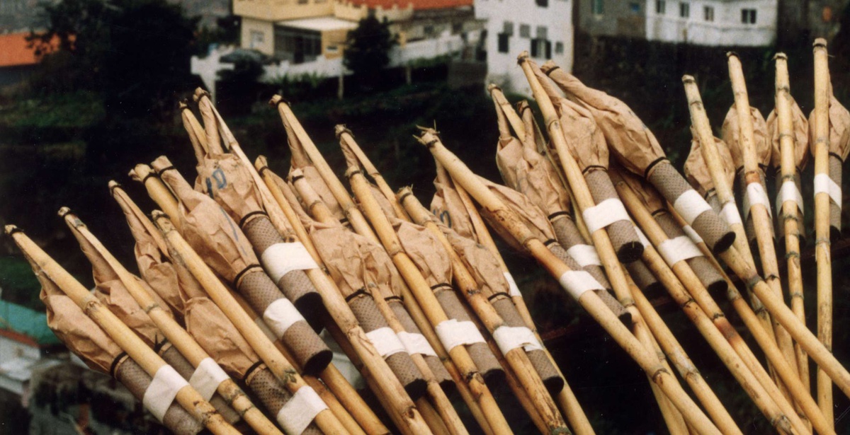 Estudos apontam para foguetes na origem de vários incêndios, embora sem dados específicos para a Madeira.