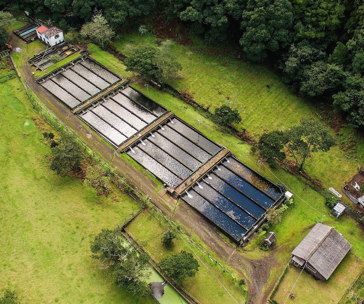 Imagem aérea da exploração no Chão da Ribeira.&nbsp;