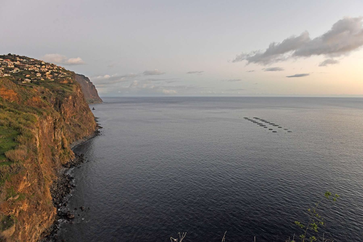 Está previsto o aumento da área de actividade da aquacultura na Madeira, aspecto que tem conhecido a oposição de algumas populações.&nbsp;