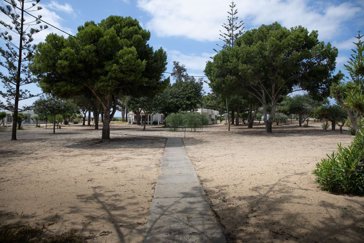 Do antigo parque de campismo as únicas sobreviventes terão sido as árvores, algumas delas com décadas a garantir sombra.