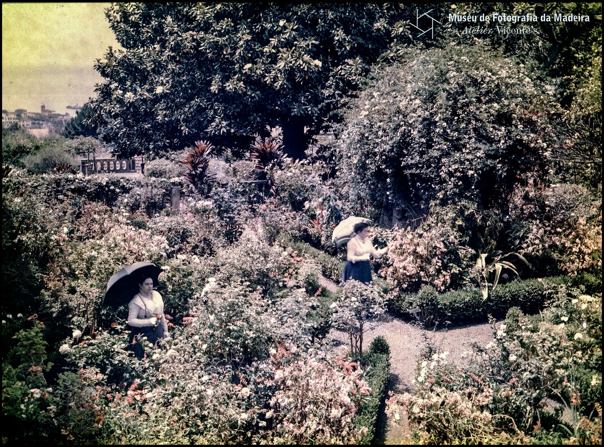 Photographia Vicente (1863-1978) | Duas mulheres num jardim
(1907-1920) | Autochrome / 24 X 18 cm | MFM-AV, Nº Inv. VIC/21608 | Em depósito
na DRABM