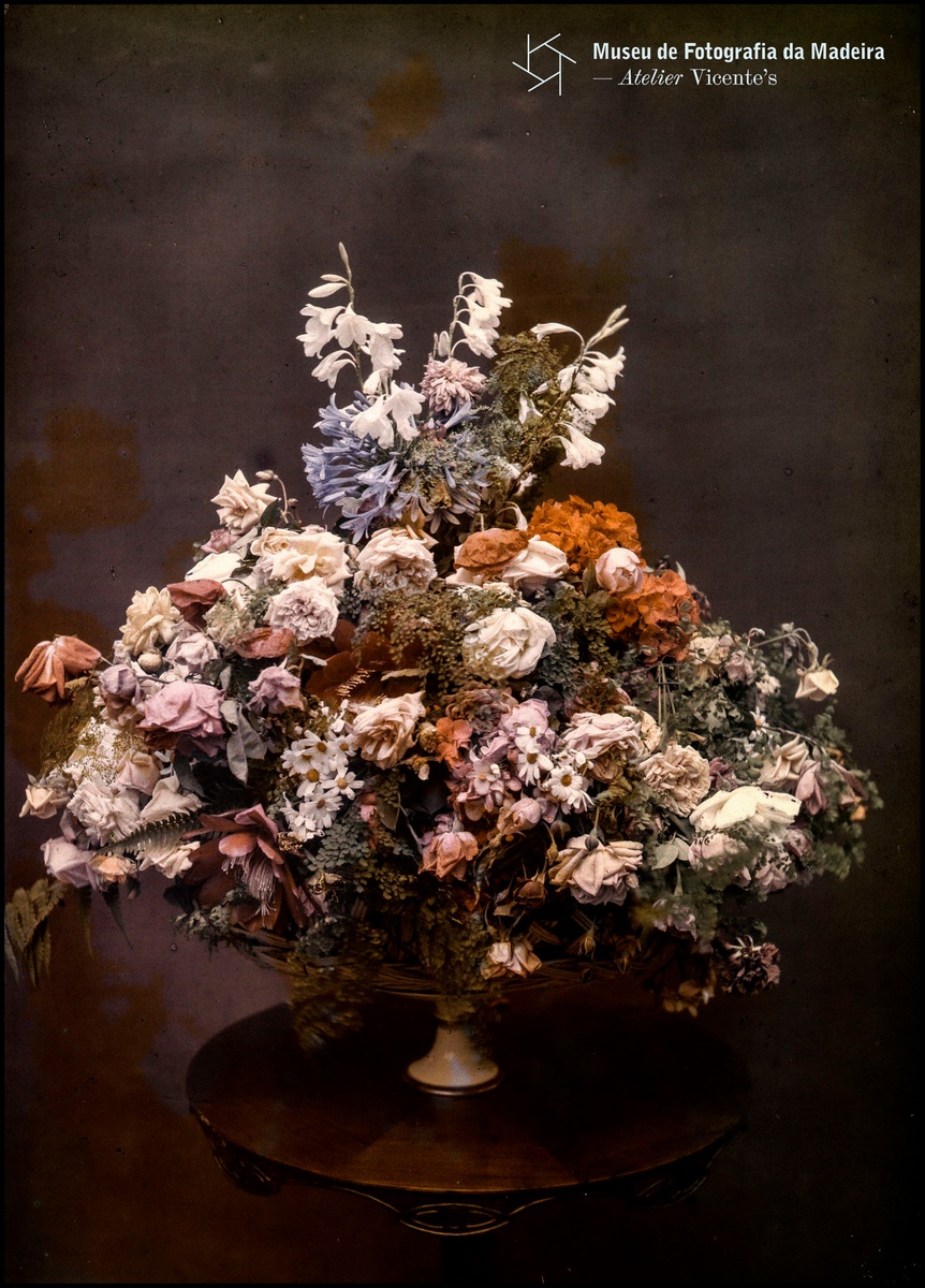 Photographia Vicente (1863-1978) | Vaso de Flores
(1907-1920) Autochrome / 24 X 18 cm | MFM-AV, Nº Inv. VIC/21606 | Em
depósito na DRABM