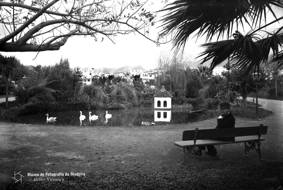 Aluízio César Bettencourt | Lagoa do Jardim Municipal | 1885-1895 | 12,7 x 19 cm | Prova em
gelatina e sais de prata | MFM-AV, inv. ACB/27 | Em depósito na DRABM