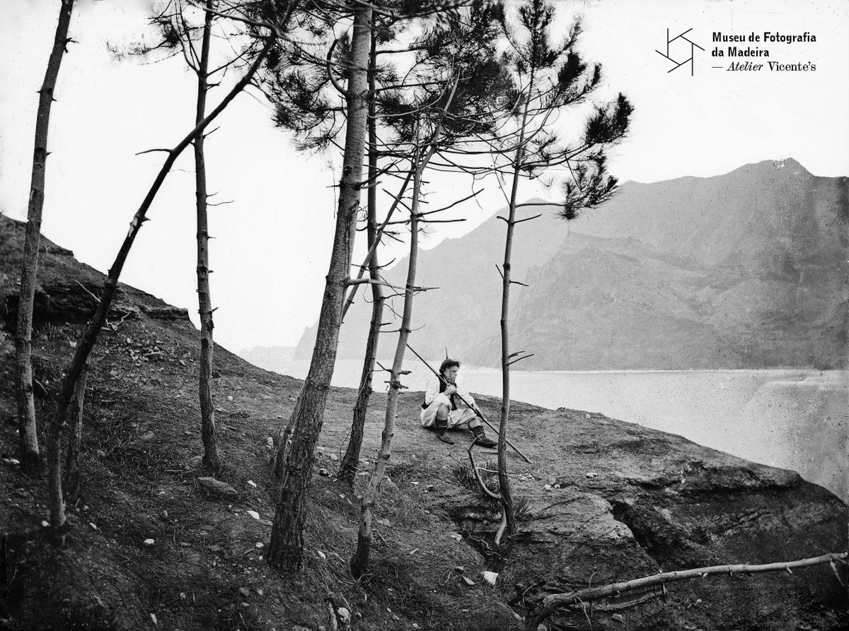 PHOTOGRAPHIA VICENTE | Vista sobre a enseada do lugar do Porto da Cruz (atual vila e
freguesia do Porto da Cruz, concelho de Machico), a partir do morro sobranceiro
ao mar, onde se encontra um homem sentado | Segunda metade do séc. XIX | 16,6 x
21,7 cm | Negativo simples, vidro | Colódio | MFM-AV, inv. VIC/391 | Em depósito na DRABM