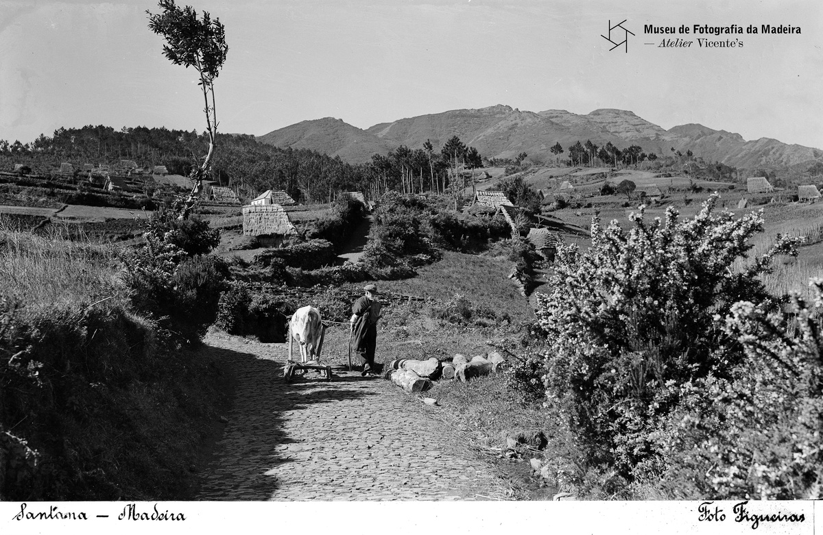 FOTO FIGUEIRAS | Santana | Posterior a 1930 - 9,9 x 14,9 cm | Negativo simples, vidro | Gelatina e sais de prata | MFM-AV, inv. PHF/127 | Em depósito no ABM