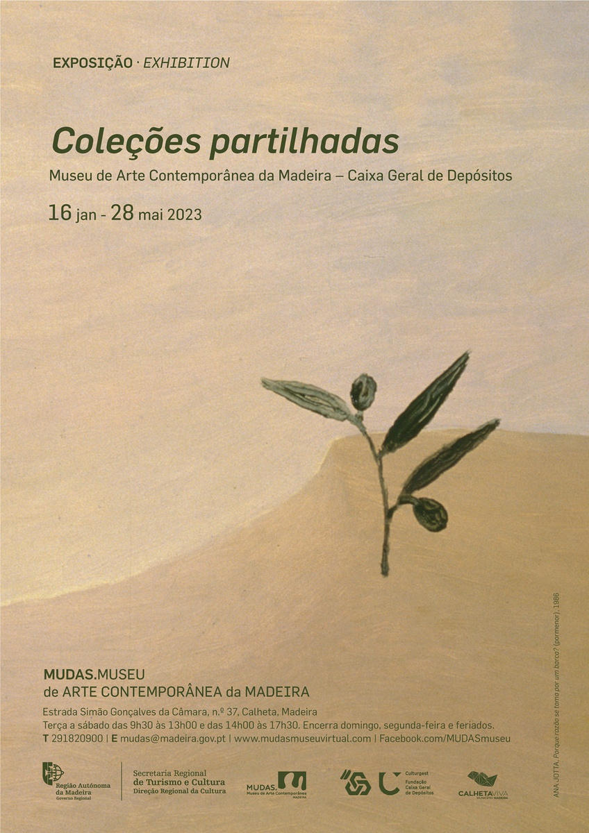 Exposição integra programa de comemorações do 30.º aniversário da fundação do Museu de Arte Contemporânea da Madeira.
