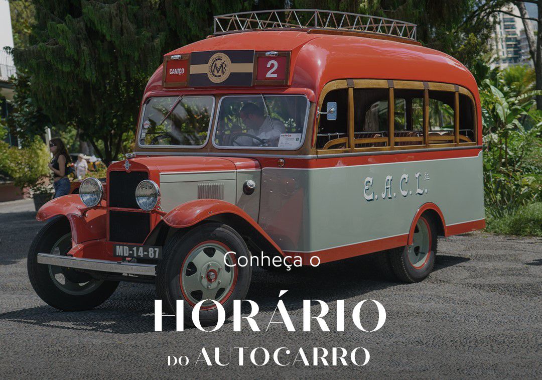 Aproveite e vá de autocarro... para a Quinta Magnólia. Conheça aqui os horários e o itinerário.