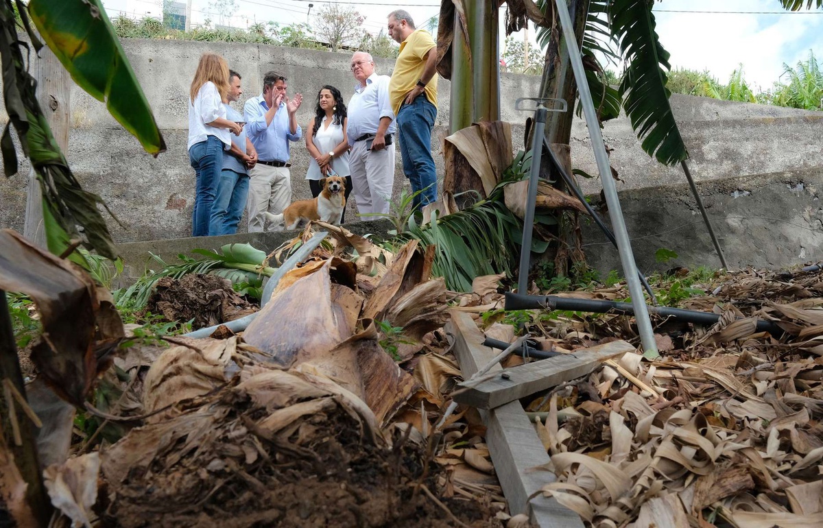 O lançamento do concurso foi feito pelos anteriores administradores da empresa, vigorando já no mandato da recém-nomeada nova gerente-executiva, Aurélia Sena.&nbsp;&nbsp;