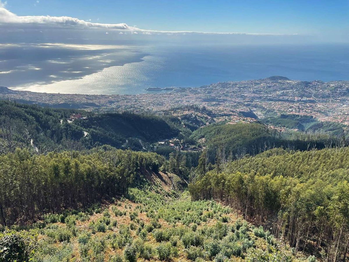 A actividade acontece este sábado, dia 23 de Dezembro, entre as 15 e as 18 horas, no Parque Ecológico do Funchal.&nbsp;