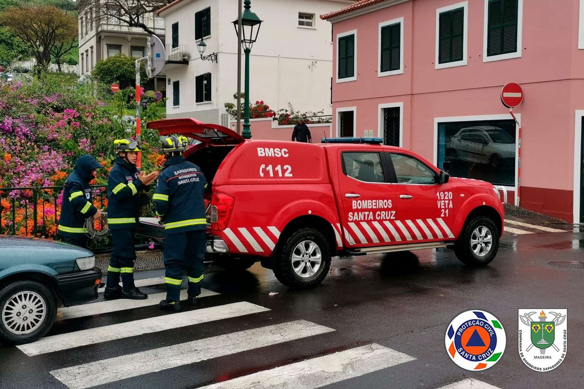 Bombeiros de Santa Cruz cortam palmeiras em risco DNOTICIAS.PT