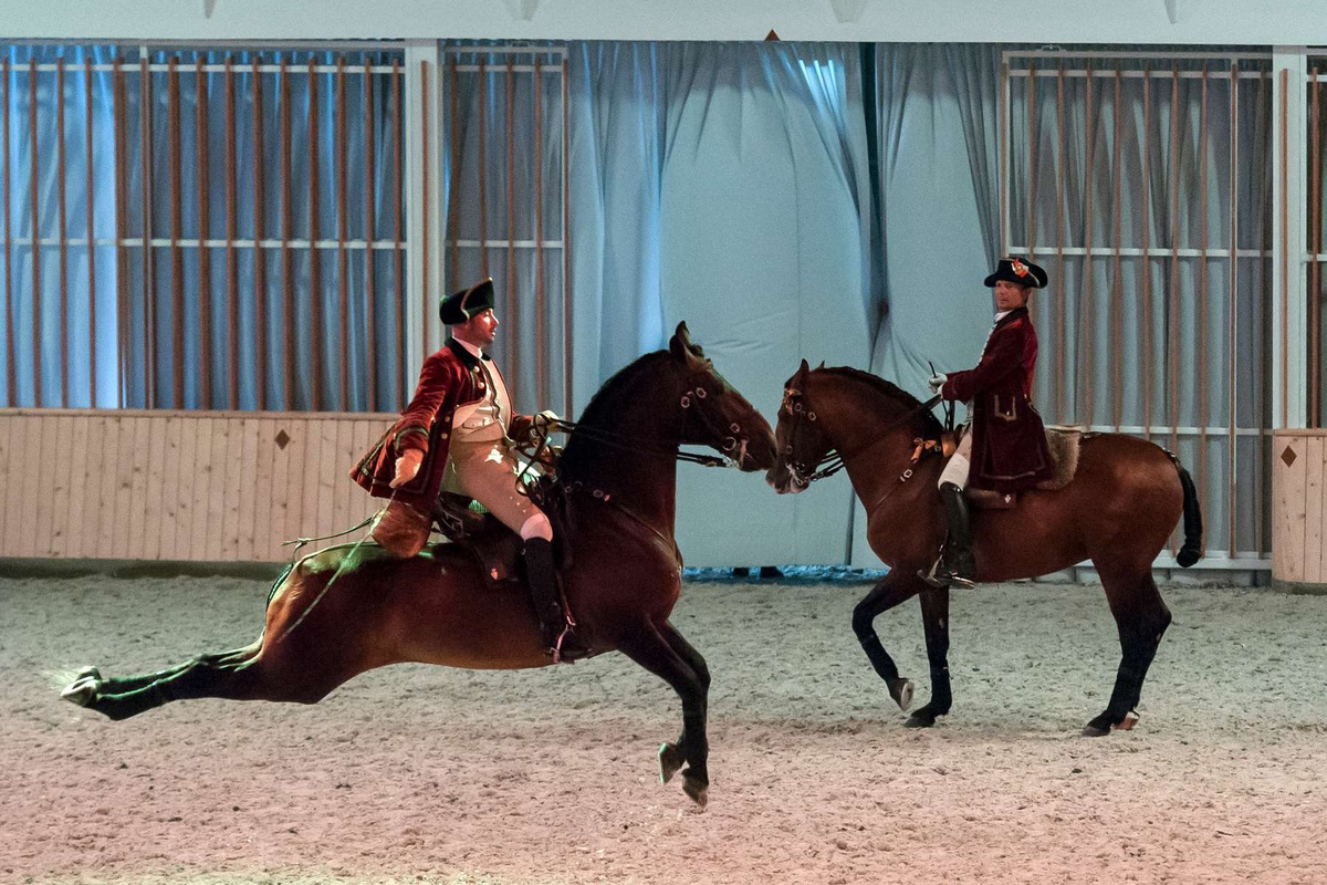 Foto DR/PSML/Bruno Barata