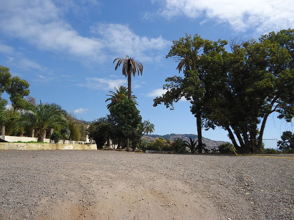 Onde antes se ergueram os animados salões da Quinta de São Roque, está hoje uma clareira. Subsiste ainda, no entanto, em parte considerável, o luxuriante parque arbóreo da quinta, mantido pela Universidade da Madeira. (Atribuição: Paulo Perneta / Wikimedia CC-BY-SA 4.0)