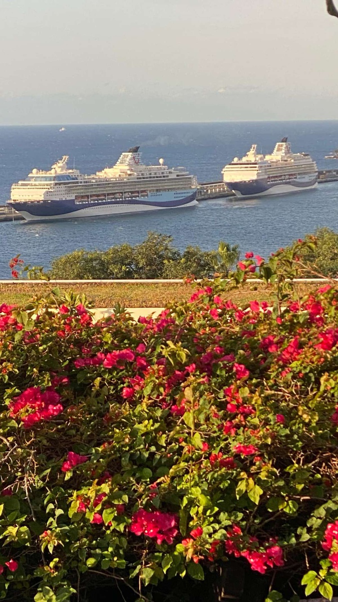 Foto Sérgio Ferreira