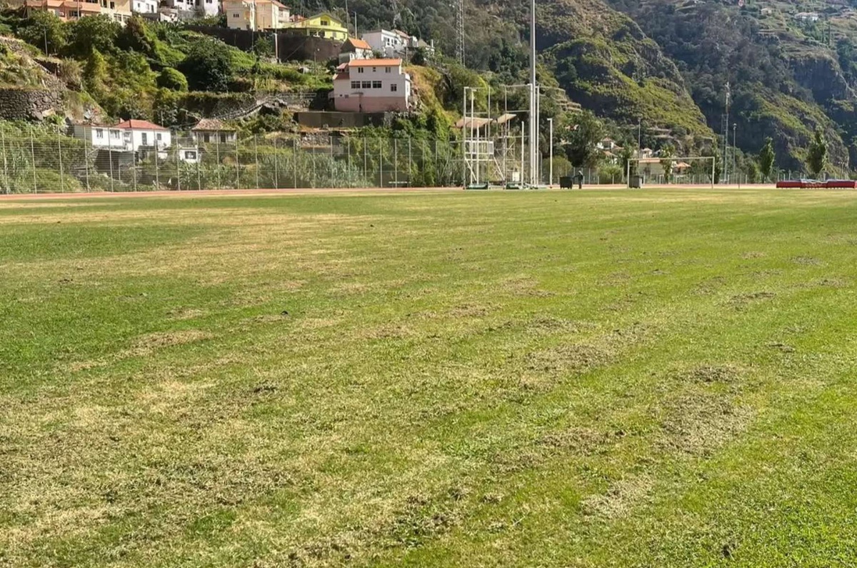 Foto&nbsp;Sociedades de Desenvolvimento - Madeira