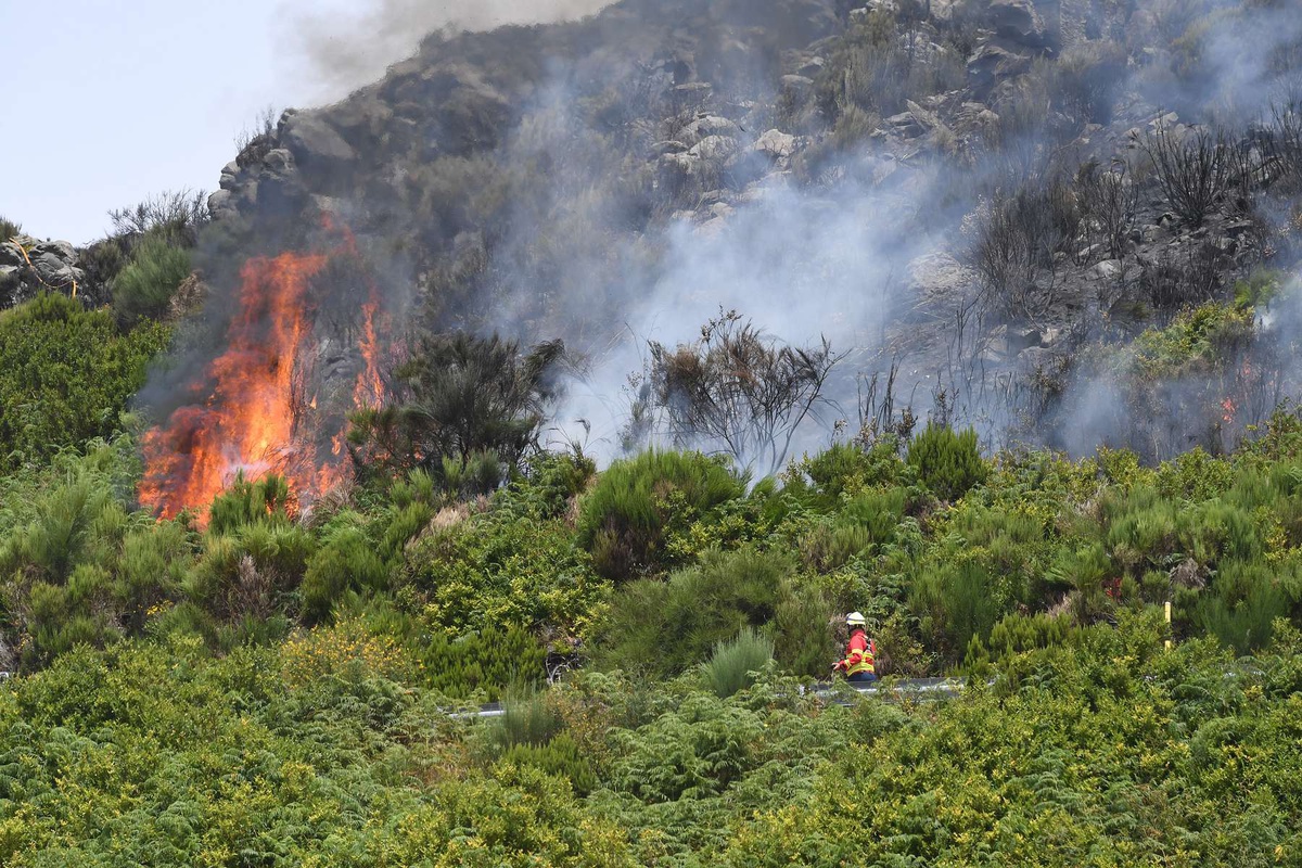 Apesar de todos os esforços para conter o fogo, não foi possível evitar que o mesmo se propagasse à vegetação envolvente, levando à intervenção dos bombeiros e do helicóptero.&nbsp;