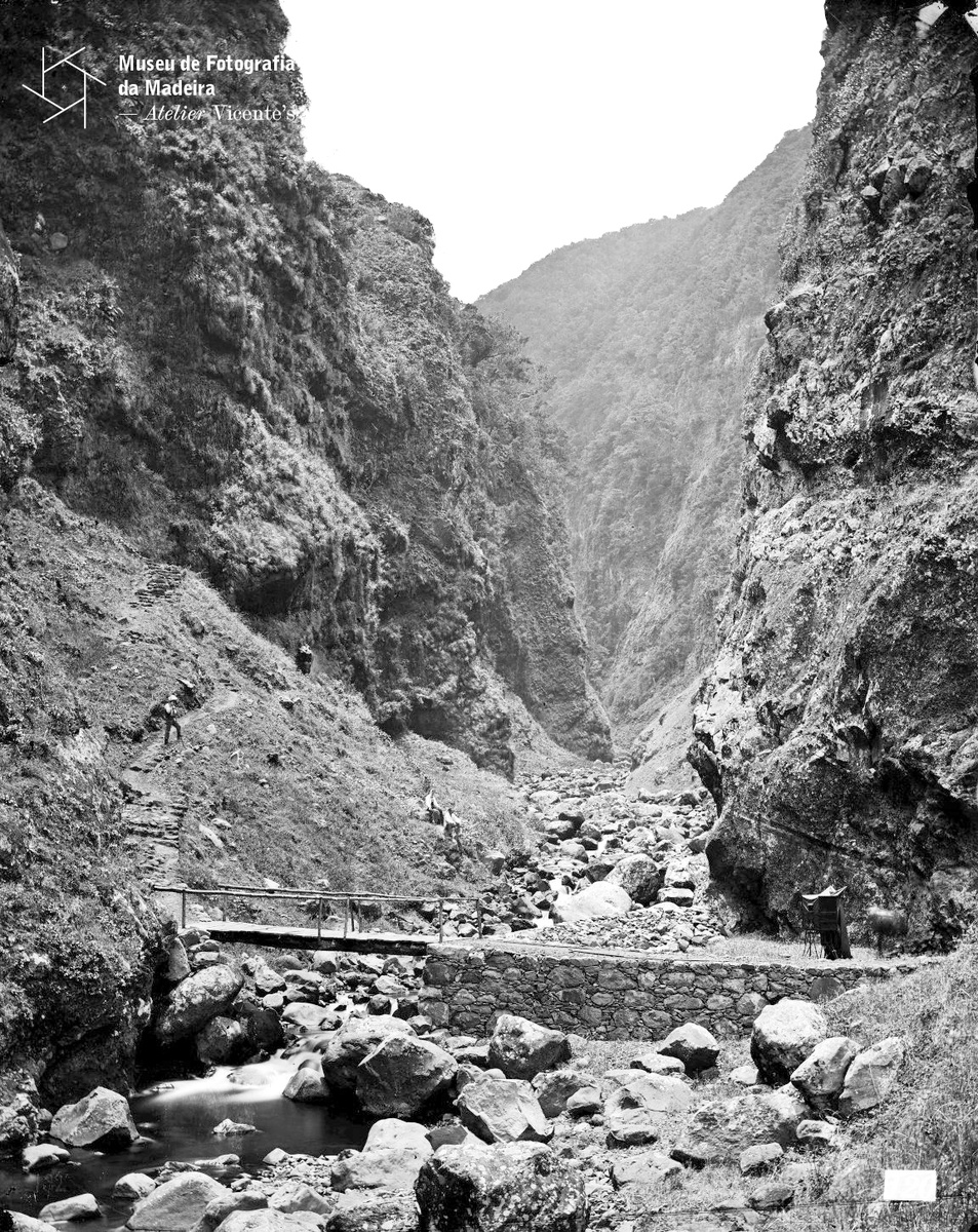 MFM-AV, inv. VIC/538