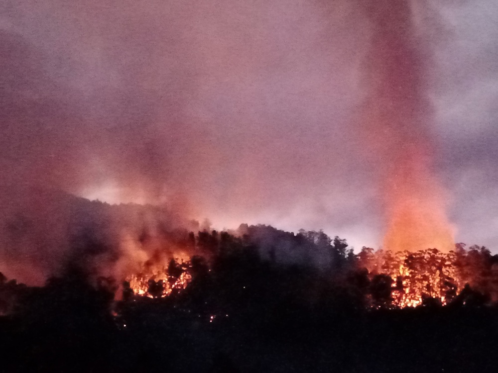 Pormenor do incêndio no alto da Calheta.