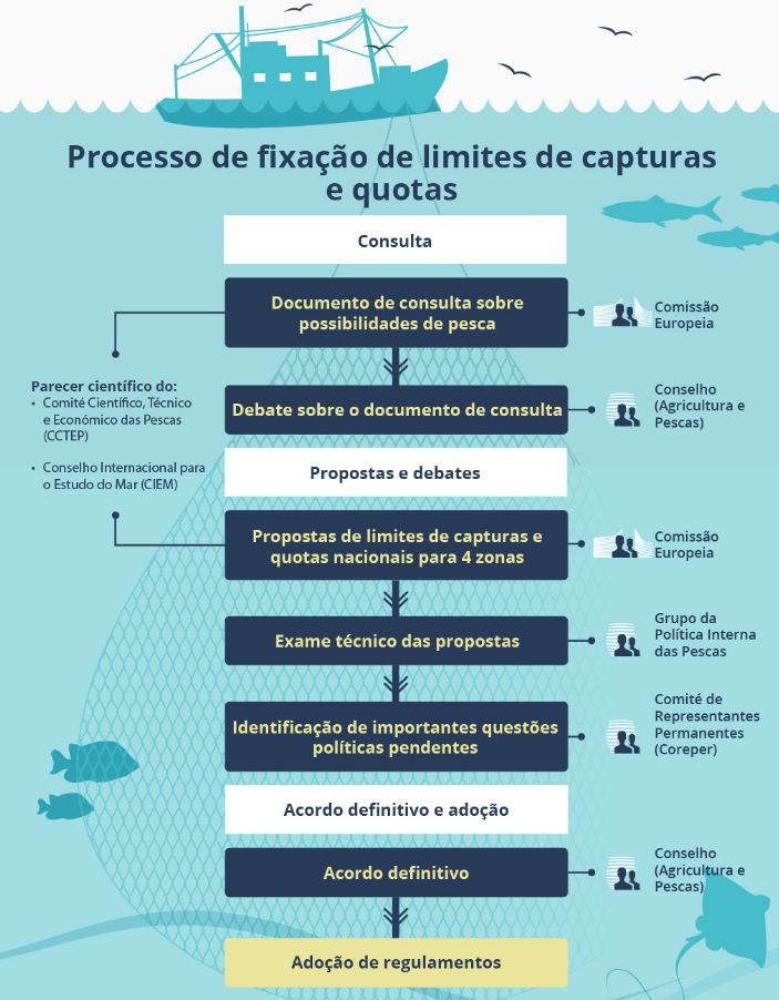 Processo de fixação de cada uma das quotas na União Europeia