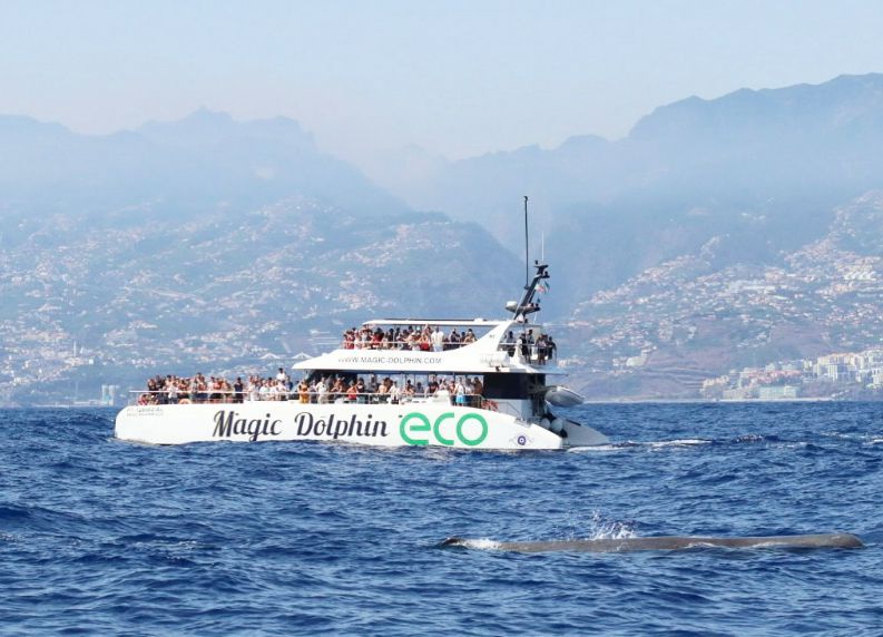 Embarcação que realizou o resgate