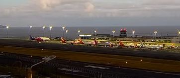 O avião ainda está na placa, o primeiro a contar da esquerda.&nbsp; &nbsp;Foto DR/Madeira-web.com