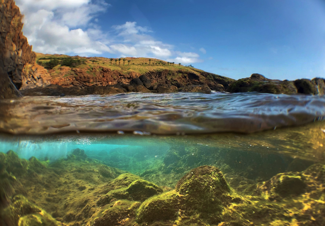 Foto Gonçalo Gomes/Gogoimage